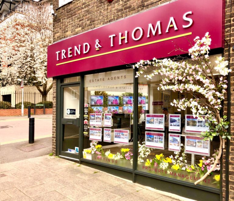 Trend & Thomas Office in spring