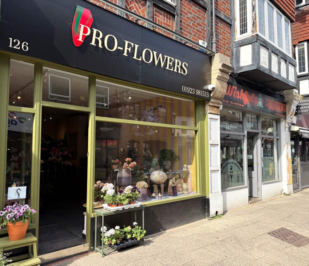 Pro Flowers