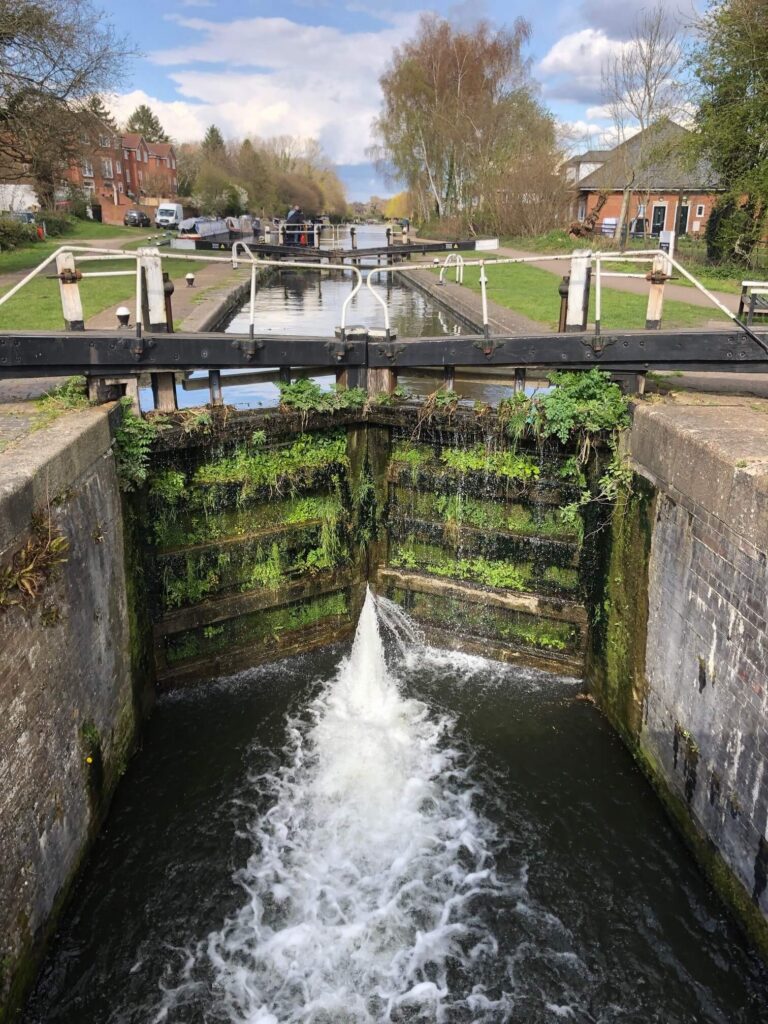Green spaces & dog walks